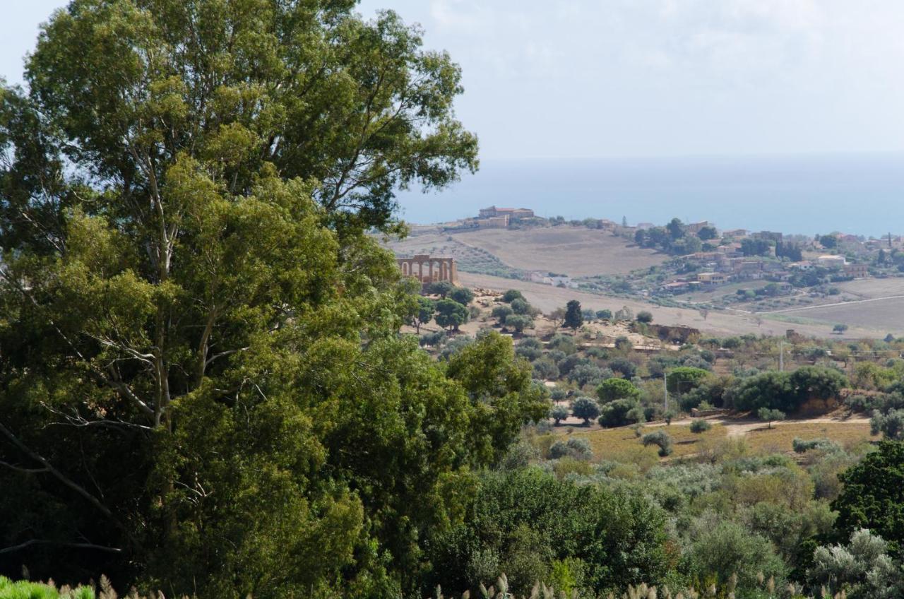 Panoramica dei Templi B&B Agrigento Esterno foto
